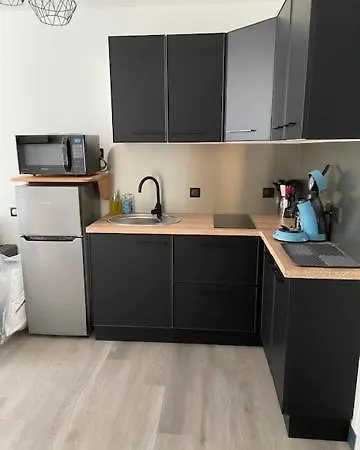 Avec Un T3 Un T2 Et Un En Centre D דירה *