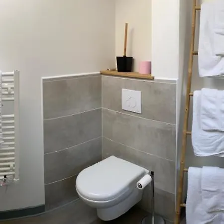 Apartamento Résidence Avec Un T3 Un T2 Et Un En Centre D Argelès-Gazost