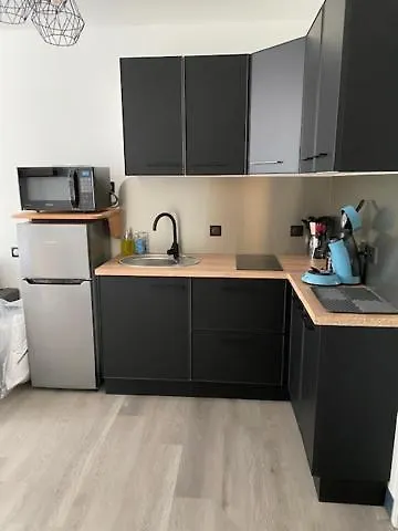 Avec Un T3 Un T2 Et Un En Centre D Апартаменты *